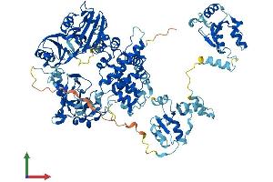 AlphaFold protein structure predicition of Mouse Recombinant Lig4 Protein, UniprotID Q8BTF7