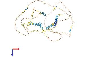 AlphaFold protein structure predicition of Mouse Recombinant Fam110c Protein, UniprotID Q8VE94