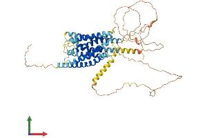 AlphaFold protein structure predicition of Mouse Recombinant Gpr75 Protein, UniprotID Q6X632