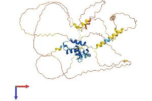 AlphaFold protein structure predicition of Mouse Recombinant Foxd3 Protein, UniprotID Q61060
