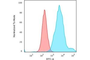 Flow Cytometric Analysis of PFA-fixed HeLa cells using Cytokeratin 18 Rabbit Recombinant MAb(KRT18/2819R) followed by Goat anti-rabbit IgG-CF488 (Blue); Isotype Control (Red). (Recombinant Cytokeratin 18 anticorps)