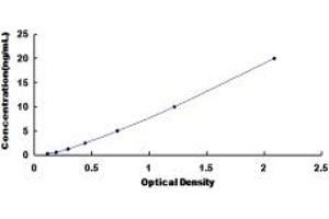 Typical standard curve (DAB1 Kit ELISA)