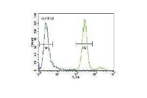 HGF Antibody (C-term) (ABIN388462 and ABIN2848889) flow cytometric analysis of CEM cells (right histogram) compared to a negative control cell (left histogram). (HGF anticorps  (C-Term))