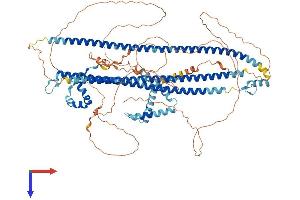 AlphaFold protein structure predicition of Human Recombinant DZIP1 Protein, UniprotID Q86YF9