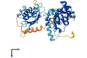 AlphaFold protein structure predicition of Human Recombinant UBE2Q2 Protein, UniprotID Q8WVN8