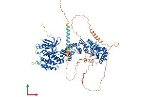 AlphaFold protein structure predicition of Mouse Recombinant Scyl1 Protein, UniprotID Q9EQC5