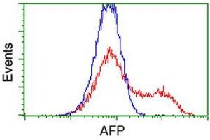 HEK293T cells transfected with either RC206622 overexpress plasmid (Red) or empty vector control plasmid (Blue) were immunostained by anti-AFP antibody (ABIN2452705), and then analyzed by flow cytometry. (alpha Fetoprotein anticorps)