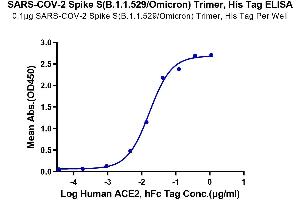 Immobilized SARS-COV-2 Spike S (B.