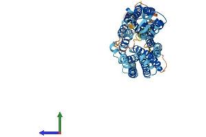 AlphaFold protein structure predicition of Mouse Recombinant Slc43a2 Protein, UniprotID Q8CGA3