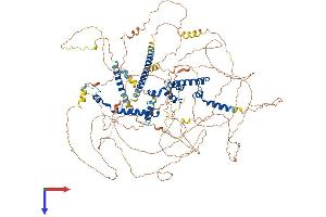 AlphaFold protein structure predicition of Mouse Recombinant Mrtfb Protein, UniprotID P59759