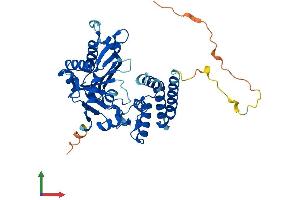AlphaFold protein structure predicition of Mouse Recombinant Tent5c Protein, UniprotID Q5SSF7