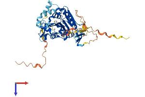 AlphaFold protein structure predicition of Human Recombinant ABHD8 Protein, UniprotID Q96I13