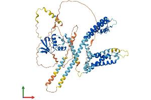 AlphaFold protein structure predicition of Human Recombinant KCND1 Protein, UniprotID Q9NSA2