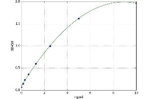 Forkhead Box O1 (FOXO1) ELISA Kit