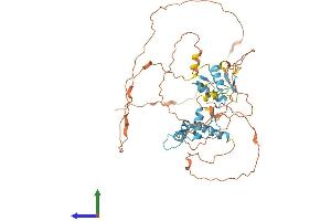AlphaFold protein structure predicition of Human Recombinant ZIC3 Protein, UniprotID O60481