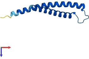 AlphaFold protein structure predicition of Human Recombinant TIMM10 Protein, UniprotID P62072