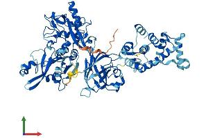 AlphaFold protein structure predicition of Human Recombinant CAPN9 Protein, UniprotID O14815