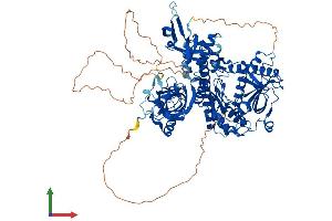 AlphaFold protein structure predicition of Human Recombinant DIS3L2 Protein, UniprotID Q8IYB7