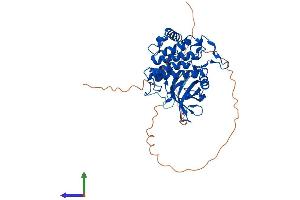 AlphaFold protein structure predicition of Mouse Recombinant Csnk1g3 Protein, UniprotID Q8C4X2