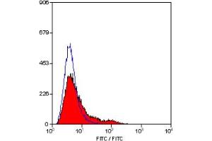 Staining of rat spleen lymphocytes with MOUSE ANTI RAT CD71 (ABIN120509).