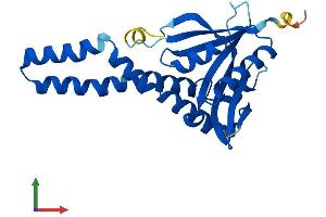 AlphaFold protein structure predicition of Human Recombinant NAT8B Protein, UniprotID Q9UHF3