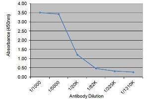 ELISA image for anti-Thyroid Stimulating Hormone (TSH) antibody (ABIN2476786)