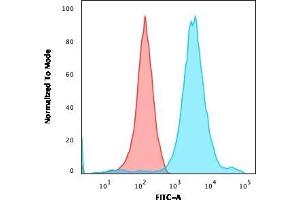 Flow Cytometric Analysis of HEK293 cells using Neurofilament Mouse Monoclonal Antibody (NF421) followed by goat anti-Mouse IgG-CF488 (Blue); Isotype control (Red). (NEFH anticorps)