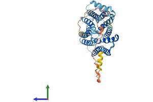 AlphaFold protein structure predicition of Mouse Recombinant Slc35a2 Protein, UniprotID Q9R0M8