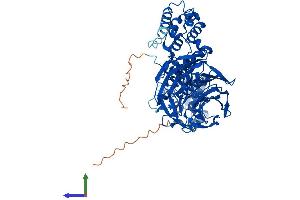 AlphaFold protein structure predicition of Human Recombinant KLHL10 Protein, UniprotID Q6JEL2