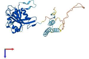 AlphaFold protein structure predicition of Human Recombinant AAGAB Protein, UniprotID Q6PD74