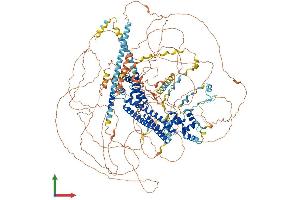 AlphaFold protein structure predicition of Mouse Recombinant Fmn1 Protein, UniprotID Q05860