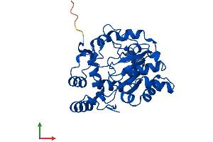 AlphaFold protein structure predicition of Human Recombinant SULT1A3 Protein, UniprotID P0DMM9