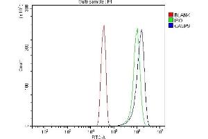 Flow Cytometry analysis of Hela cells using anti-Caspase-9/CASP9 antibody (ABIN7600340). (Caspase 9 anticorps  (AA 18-416))