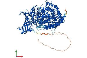 AlphaFold protein structure predicition of Human Recombinant NPEPPS Protein, UniprotID P55786