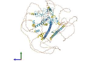AlphaFold protein structure predicition of Human Recombinant MYT1 Protein, UniprotID Q01538