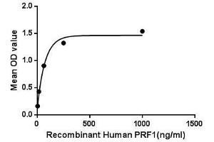 Binding activity of PRF1 with CRT. (Perforin 1 Protéine)
