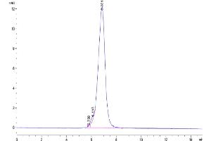 The purity of Human CDH17 is greater than 95 % as determined by SEC-HPLC.