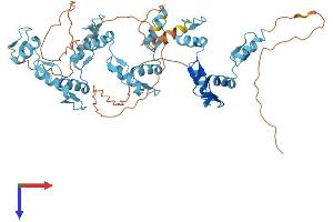 AlphaFold protein structure predicition of Human Recombinant ZNF572 Protein, UniprotID Q7Z3I7