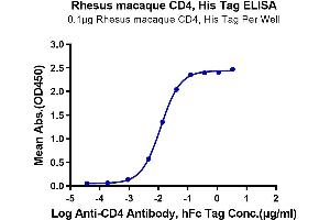 Immobilized Rhesus macaque CD4, His Tag at 1 μg/mL (100 μL/Well) on the plate.