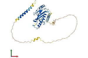 AlphaFold protein structure predicition of Mouse Recombinant Ube2j1 Protein, UniprotID Q9JJZ4