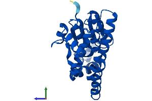AlphaFold protein structure predicition of Human Recombinant GSTA1 Protein, UniprotID P08263