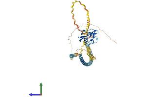 AlphaFold protein structure predicition of Mouse Recombinant Msr1 Protein, UniprotID P30204