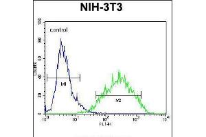 Flow cytometric analysis of NIH-3T3 cells (right histogram) compared to a negative control cell (left histogram).