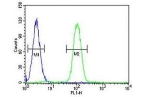 SP1 antibody flow cytometric analysis of K562 cells (right histogram) compared to a negative control (left histogram).