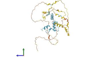 AlphaFold protein structure predicition of Human Recombinant KLF2 Protein, UniprotID Q9Y5W3