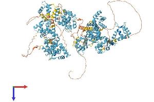 AlphaFold protein structure predicition of Human Recombinant EFCAB6 Protein, UniprotID Q5THR3