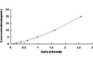 Typical standard curve (SUMO2 Kit ELISA)