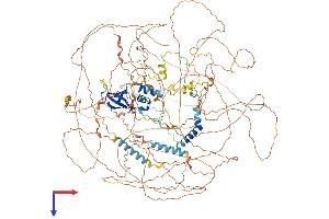 AlphaFold protein structure predicition of Human Recombinant ATXN2 Protein, UniprotID Q99700