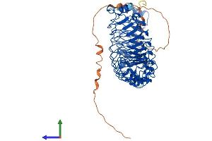 AlphaFold protein structure predicition of Human Recombinant SHOC2 Protein, UniprotID Q9UQ13