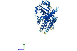 AlphaFold protein structure predicition of Human Recombinant CYP4Z2P Protein, UniprotID Q8N1L4